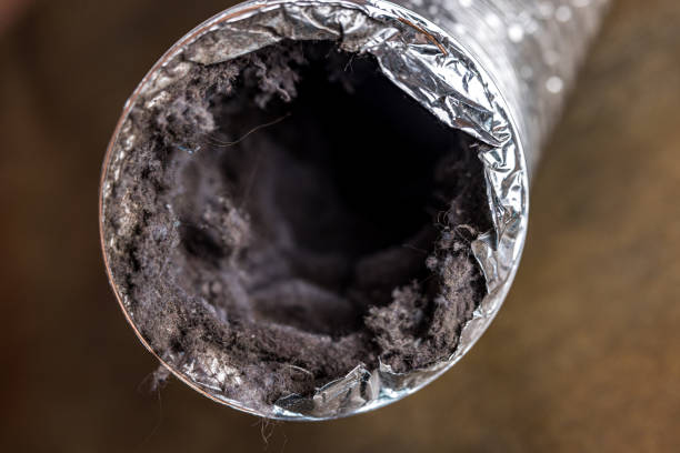 Best Affordable Duct Cleaning Services  in North Aurora, IL