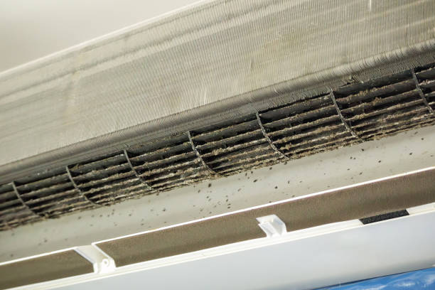 Best Ductwork Cleaning Services  in North Aurora, IL